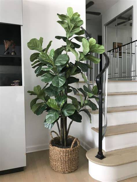 Fluffed faux fiddle leaf fig in a woven basket