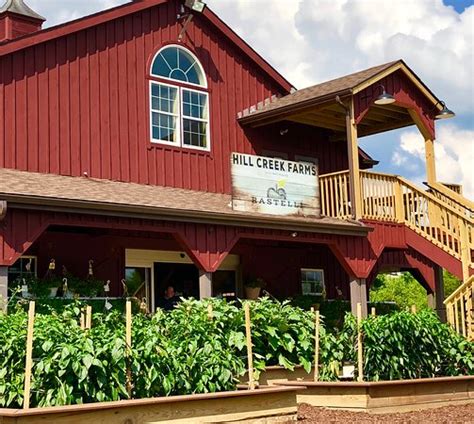 Hill Creek Farms Mullica Hill orchard overview