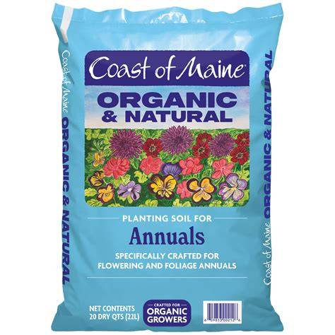 Seedling sources and Maine garden centers