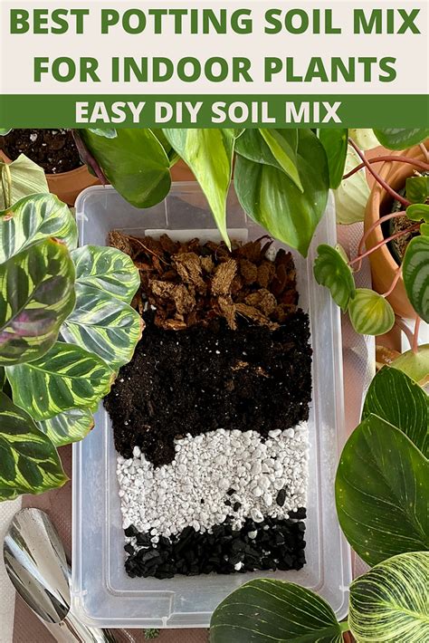 image of a DIY soil mix in a pot