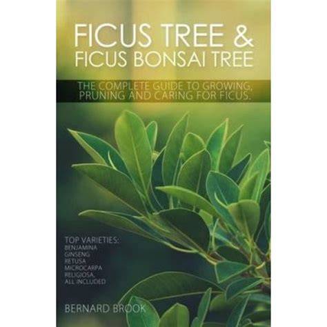 Top varieties of Ficus Bonsai infographic
