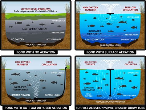 informative pond aeration diagram