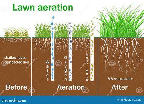 lawn aeration process diagram