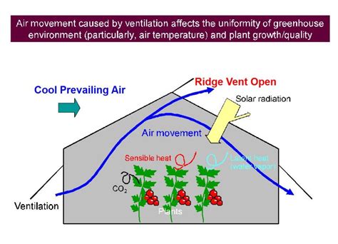 greenhouse ventilation natural airflow diagram