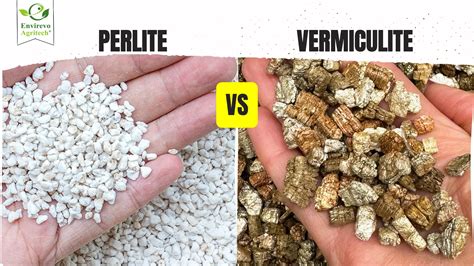 diagram comparing perlite and vermiculite