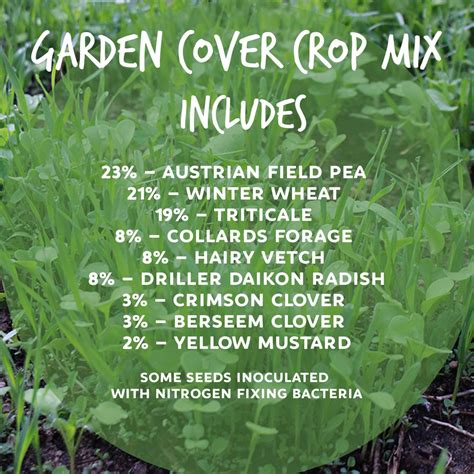 cover crop layout and pea-oat mix