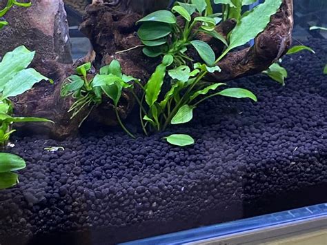 Cross-sectional view of layered soil in planted aquarium
