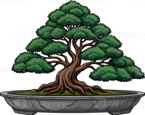 illustrative bonsai image collection