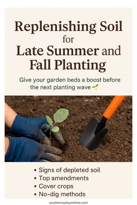 soil preparation and fall planting timeline infographic