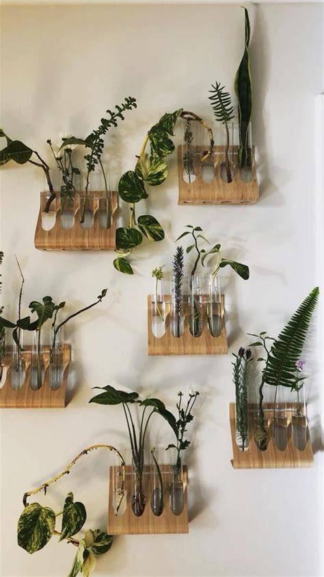 Propagation vessel types for home decor