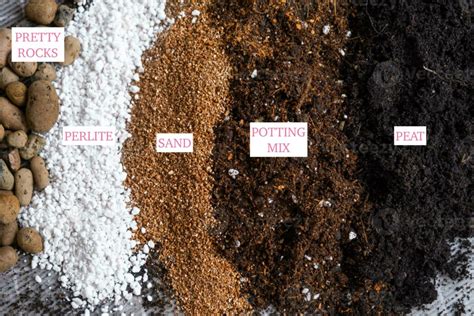 Infographic: Birkin soil mix ratios
