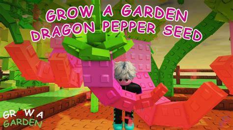 Dragon Pepper Seed packaging and crafting flow