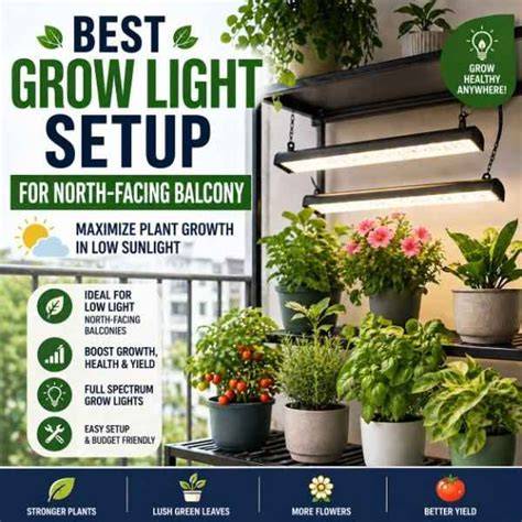 illustration of indirect grow light setup
