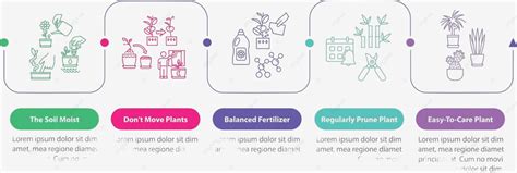 Indoor plant layout infographic