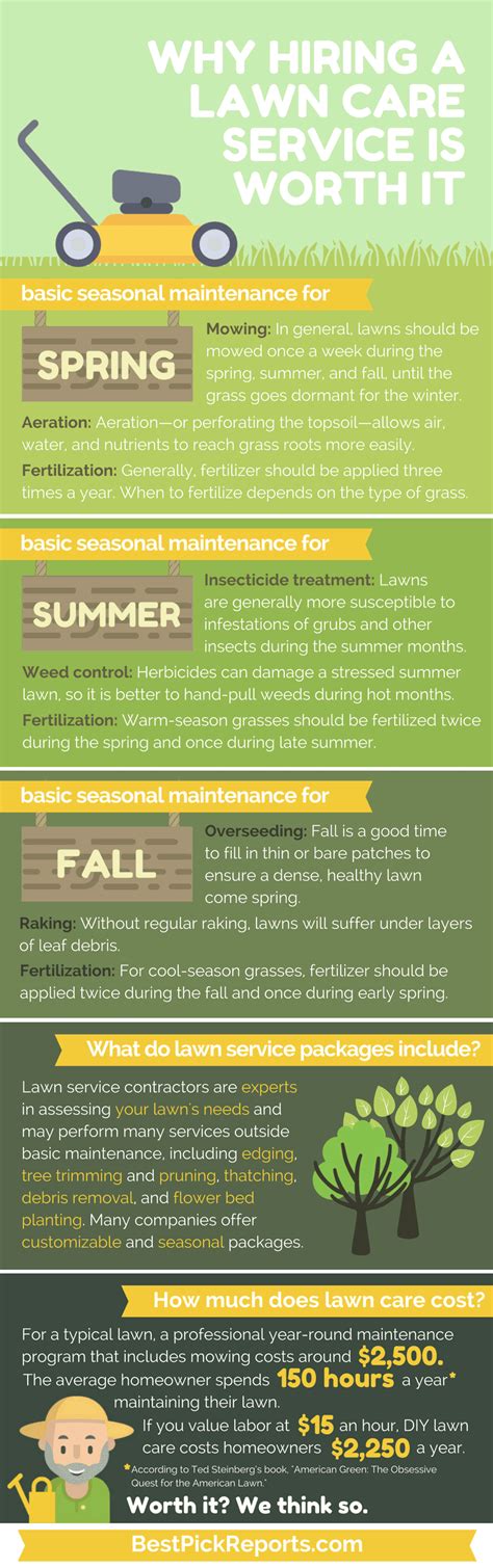 lawn care services infographic overview