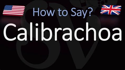 calibrachoa pronunciation infographic