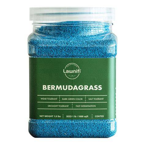 deep blue-green color bermuda lawn idea