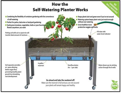 self-watering planter efficiency infographic