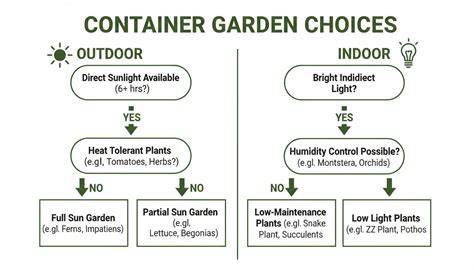 illustrative container garden infographic