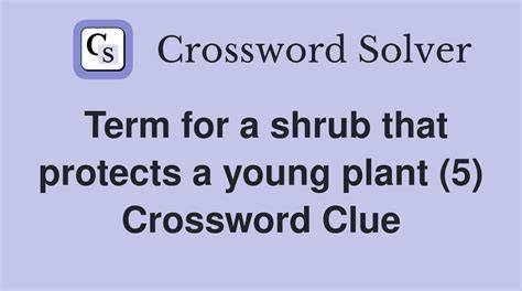 crossword clue visual guide for shrub