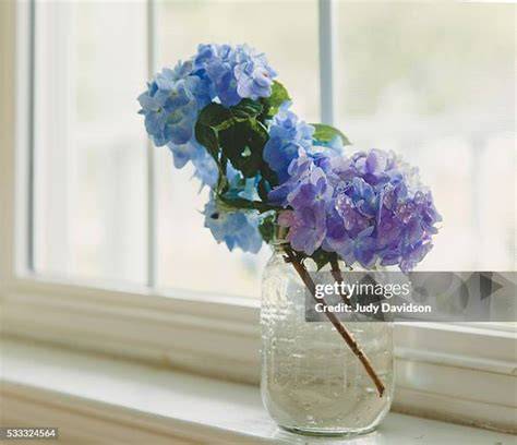 Final composition of sunset window with hydrangea jar