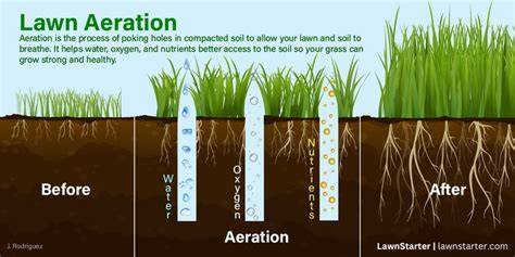 infographics show soil aeration benefits and process