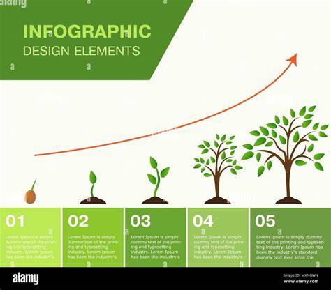 basswood seedling planting infographic