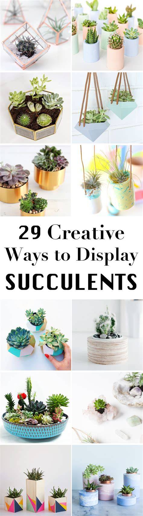 creative succulent pot ideas collage