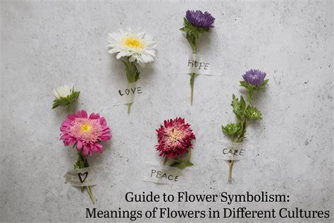 Symbolic pairing with flowers and care guide