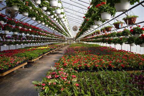 Long Island greenhouse plant diversity