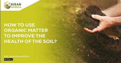soil improvement with compost and organic matter