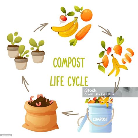 soils and composting process infographic