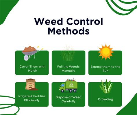 lawn weed management infographic