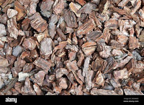 Pine bark mulch texture range illustration