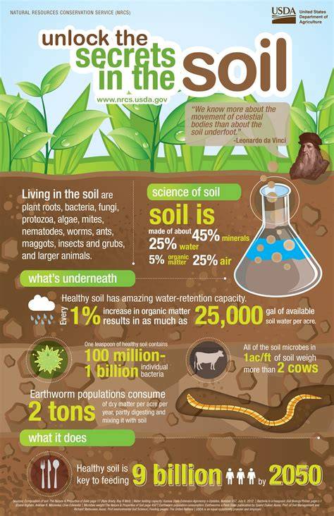 infographic of soil nutrients and amendments