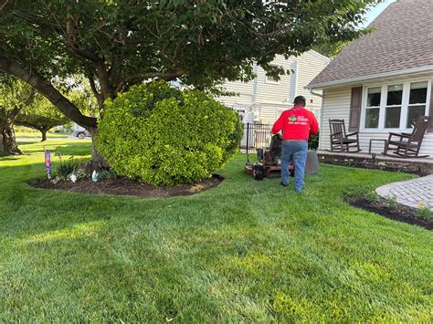 Westbury lawn service infographics