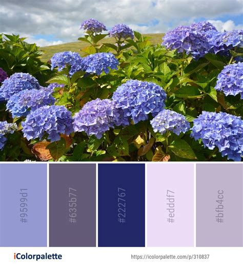 Hydrangea bedding color palette and textures
