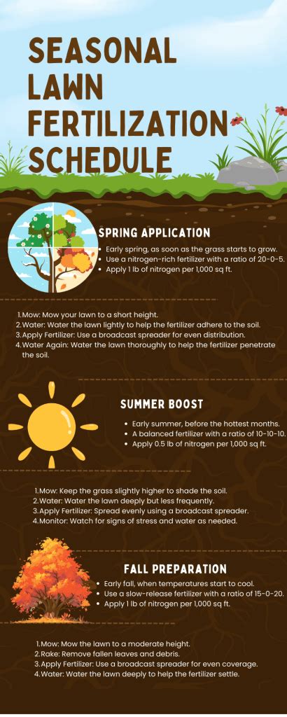 Seasonal fertilization infographic