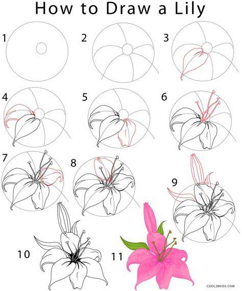 Step-by-step lily filaments and petals layout